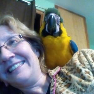 Meet your Posher, Karol